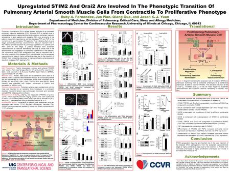 Upregulated STIM2 And Orai2 Are Involved In The Phenotypic Transition Of Pulmonary Arterial Smooth Muscle Cells From Contractile To Proliferative Phenotype.