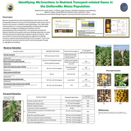 Identifying Mu Insertions in Nutrient Transport-related Genes in the UniformMu Maize Population Overview: Research presented here tests the hypotheses.