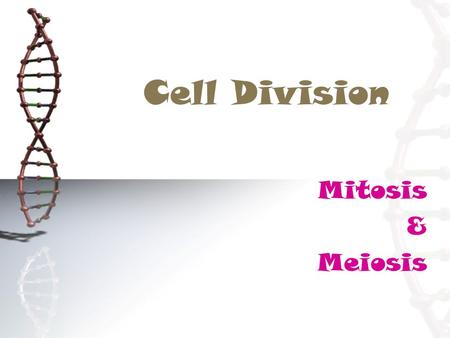 Cell Division Mitosis & Meiosis.