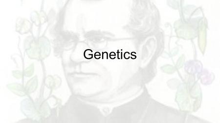 Genetics. Breaking Down the Definitions 1.Genetics 2.Heredity 3.Trait 4.Pollinations 5.Self-pollination 6.Cross-pollination 7.True-bleeding 8.P generation.