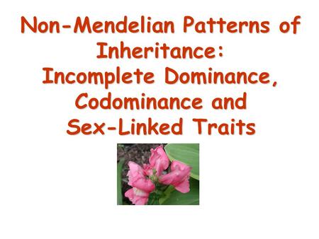 Incomplete Dominance F1 hybrids have an appearance somewhat in between the phenotypes of the two parental varieties. Example: snapdragons (flower) red.