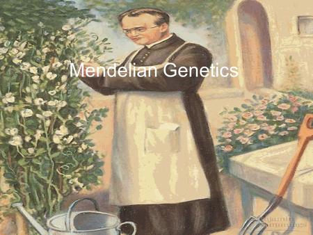 Mendelian Genetics.