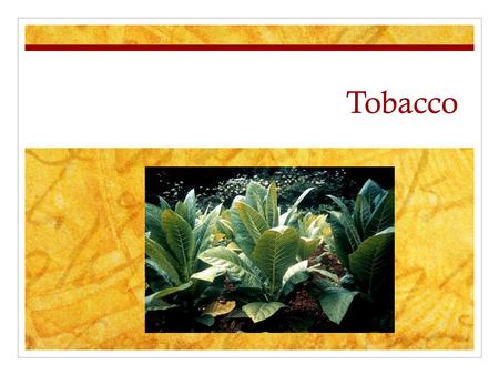 Tobacco.