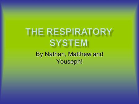 By Nathan, Matthew and Youseph!. The respiratory system is the function of breathing. The nasal passage is a tube that guides oxygen through to the lungs.