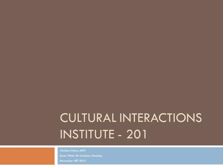 CULTURAL INTERACTIONS INSTITUTE - 201 Christina Eaton, MPH Ryan White All Grantees Meeting November 28 th 2012.