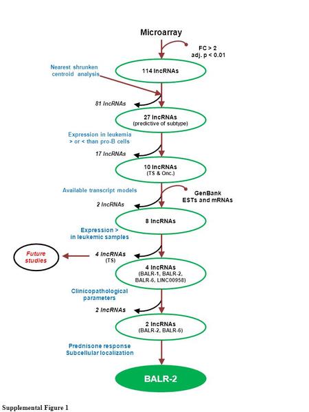 27 lncRNAs (predictive of subtype) 10 lncRNAs (TS & Onc.) 8 lncRNAs 4 lncRNAs (BALR-1, BALR-2, BALR-6, LINC00958) 114 lncRNAs 2 lncRNAs (BALR-2, BALR-6)