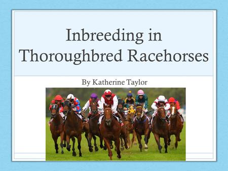 Inbreeding in Thoroughbred Racehorses By Katherine Taylor.