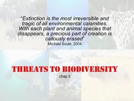 Threats to Biodiversity chap 3 “Extinction is the most irreversible and tragic of all environmental calamities. With each plant and animal species that.