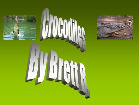 Up to 15 feet long Weighs up to 450 pounds They eat meat They have large teeth They have ruff skin They have scaly skin They have short legs.