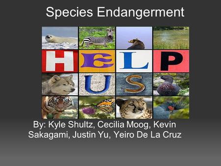 Species Endangerment By: Kyle Shultz, Cecilia Moog, Kevin Sakagami, Justin Yu, Yeiro De La Cruz.