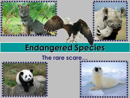 Endangered Species The rare scare….