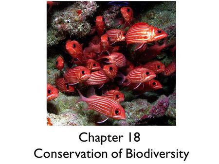 Chapter 18 Conservation of Biodiversity