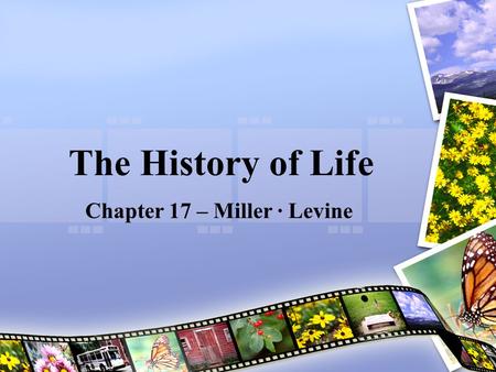 Chapter 17 – Miller · Levine