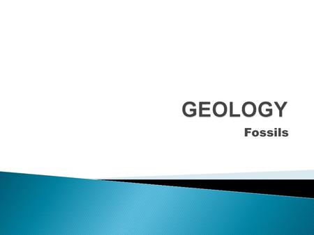 Fossils.  Latin- “have been dug up”  There are 3 things that make a fossil a fossil:  Organic- The remains or evidence of something once living. 