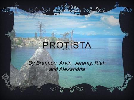 PROTISTA By Brennon, Arvin, Jeremy, Riah and Alexandria.