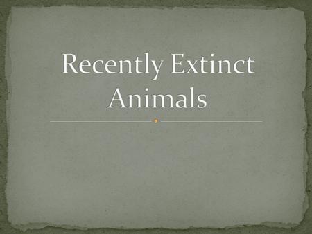 Extinct marsupial mammal, the only member of the family of marsupial wolves. For the first time the description was published in the writings of the.