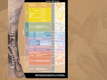 The five largest mass extinctions in Earth's history occurred during:five largest mass extinctions 1.The late Ordovician period (about 438 million years.