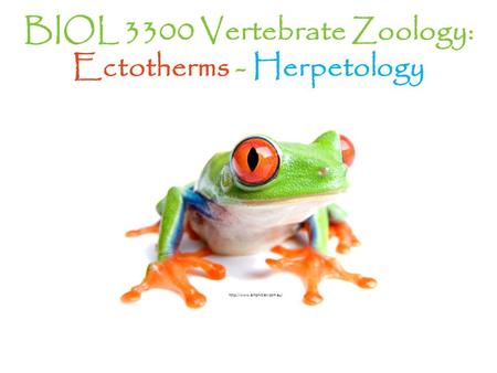 BIOL 3300 Vertebrate Zoology: Ectotherms - Herpetology