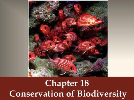 Chapter 18 Conservation of Biodiversity. How do coral reefs form?