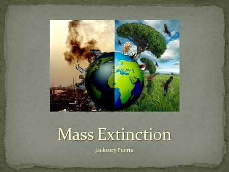 Jacksury Puerta. Extinction is the process by which a species become extinct, no longer existing and living in the world. Extinction is a normal part.