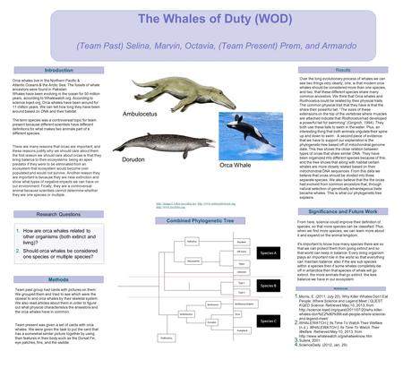 From here, science could improve their definition of species, so that more species can be classified. Plus, when we find more species, we can learn more.