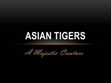 ASIAN TIGERS A Majestic Creature. Asian Tigers Tiger, a majestic creature that roams the plains of Asia. This creature is beautiful as well as ferocious,