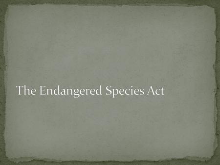 Name 3 endangered species? What is a vector, in relation to invasive species? Give an example. How would you classify a species as being endangered and.