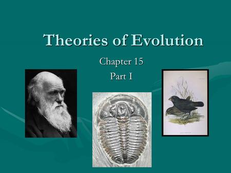 Theories of Evolution Chapter 15 Part I.