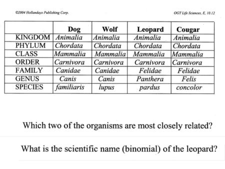 Modern Evolutionary Classification Learning Targets “I Can…” Define a “cladogram.” -Define a “derived character.” -Interpret a cladogram. -Create a cladogram.