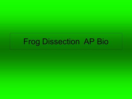 Frog Dissection AP Bio.