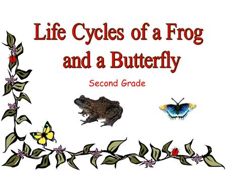 Second Grade These lessons are designed to reinforce: Sol 2.4 Life Processes 2.4The student will investigate and understand that plants and animals undergo.