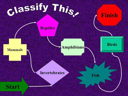 Finish Start Invertebrates Mammals Reptiles Amphibians Fish Birds.