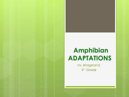 Amphibian ADAPTATIONS