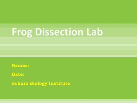 Names: Date: Schurz Biology Institute.  What did I learn in this exploration? (at least 3-5 sentences)  Why is learning about organ systems important?