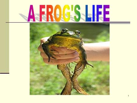 1. 2 There are many types of frogs. Some are very beautiful………