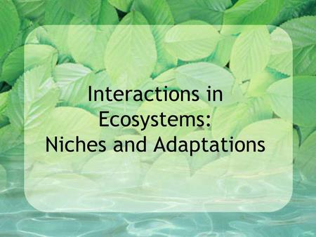 Interactions in Ecosystems: Niches and Adaptations.