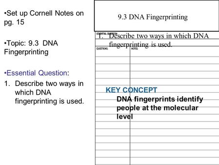 9.1 Manipulating DNA Set up Cornell Notes on pg. 15 Topic: 9.3 DNA Fingerprinting Essential Question: 1.Describe two ways in which DNA fingerprinting is.