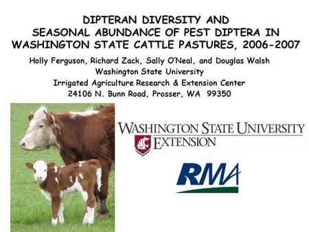 DIPTERAN DIVERSITY AND SEASONAL ABUNDANCE OF PEST DIPTERA IN WASHINGTON STATE CATTLE PASTURES, 2006-2007 Holly Ferguson, Richard Zack, Sally O’Neal, and.