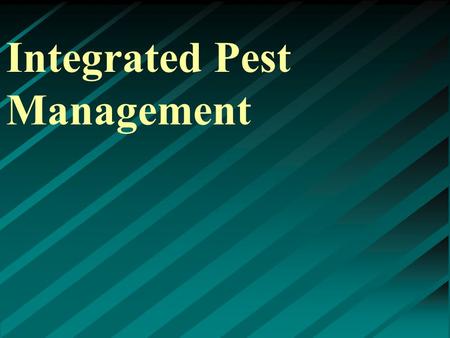 Integrated Pest Management. What pests are we talking about? ▸ Weeds ▸ Insects ▸ Disease ▸ Rodents ▸ Birds ▸ Many others.