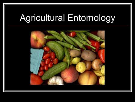 Agricultural Entomology. What is Agriculture? The cultivation of plants/animals for Human Use Includes plants used for : Food (Fruits, vegetables, grains.