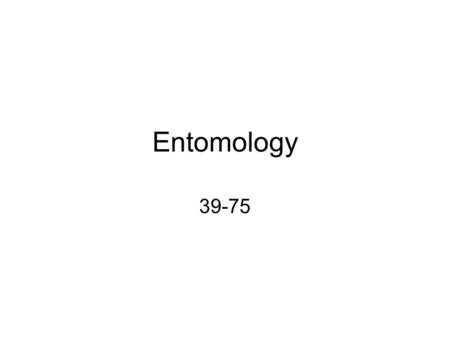 Entomology 39-75. 039 Deer Fly Common Name: Deer Fly Order: Diptera Metamorphosis: Holometebolous Mouth Part: Cutting Sponging Significance: Pest.