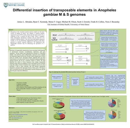 Differential insertion of transposable elements in Anopheles gambiae M & S genomes Jenica L. Abrudan, Ryan C. Kennedy, Maria F. Unger, Michael R. Olson,