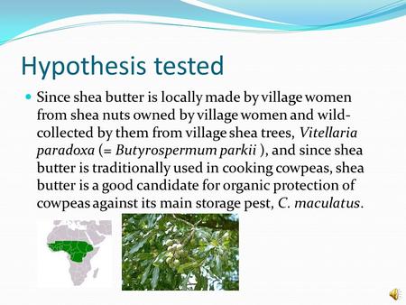 Hypothesis tested Since shea butter is locally made by village women from shea nuts owned by village women and wild- collected by them from village shea.