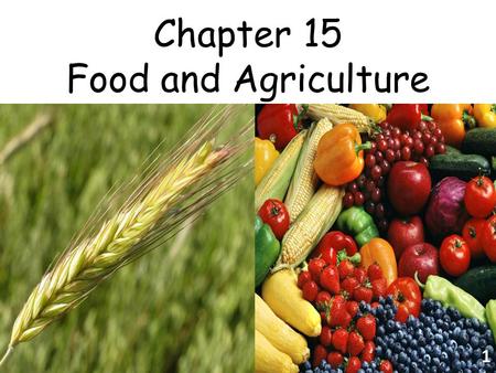 Chapter 15 Food and Agriculture