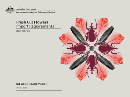 Fresh Cut Flowers Rob Schwartz & Rob McGahy Import Requirements 30 July 2013 Biosecurity.