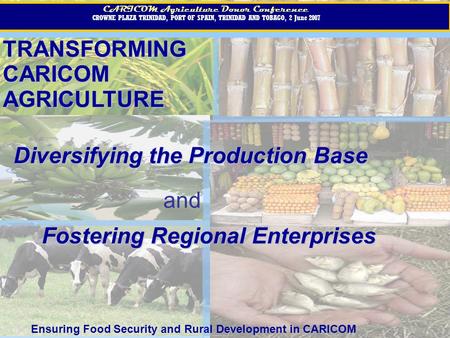 TRANSFORMINGCARICOMAGRICULTURE CARICOM Agriculture Donor Conference CROWNE PLAZA TRINIDAD, PORT OF SPAIN, TRINIDAD AND TOBAGO, 2 June 2007 CARICOM Agriculture.