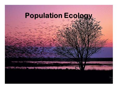 Population Ecology.