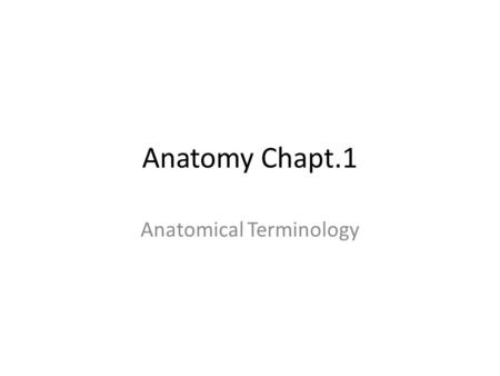 Anatomy Chapt.1 Anatomical Terminology. What plane is this?