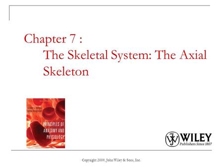 Chapter 7 : The Skeletal System: The Axial Skeleton