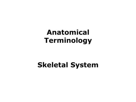 Anatomical Terminology